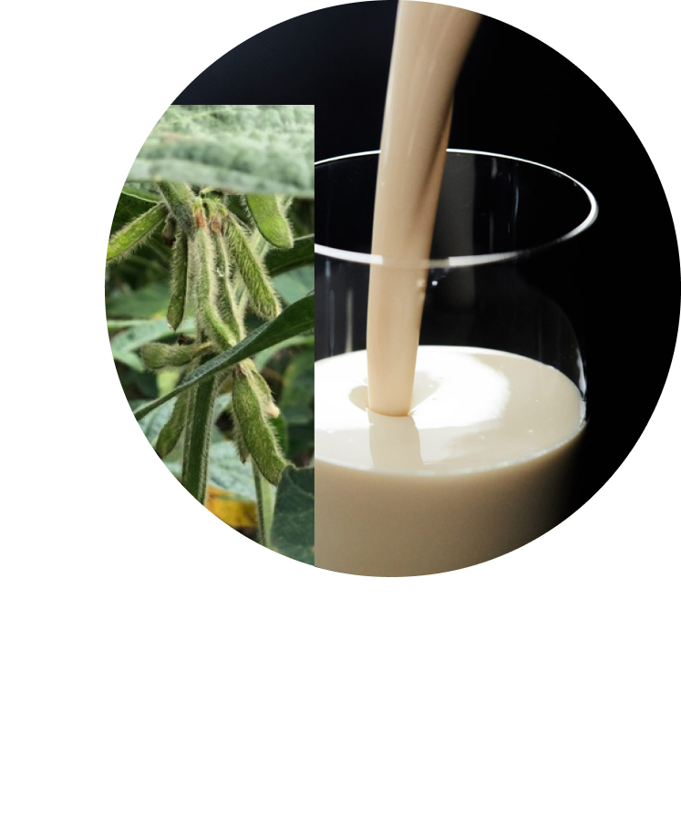 PURIS plant-based milk