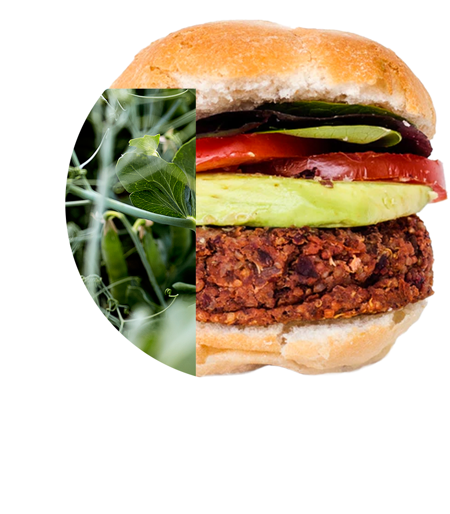 PURIS plant-based burger