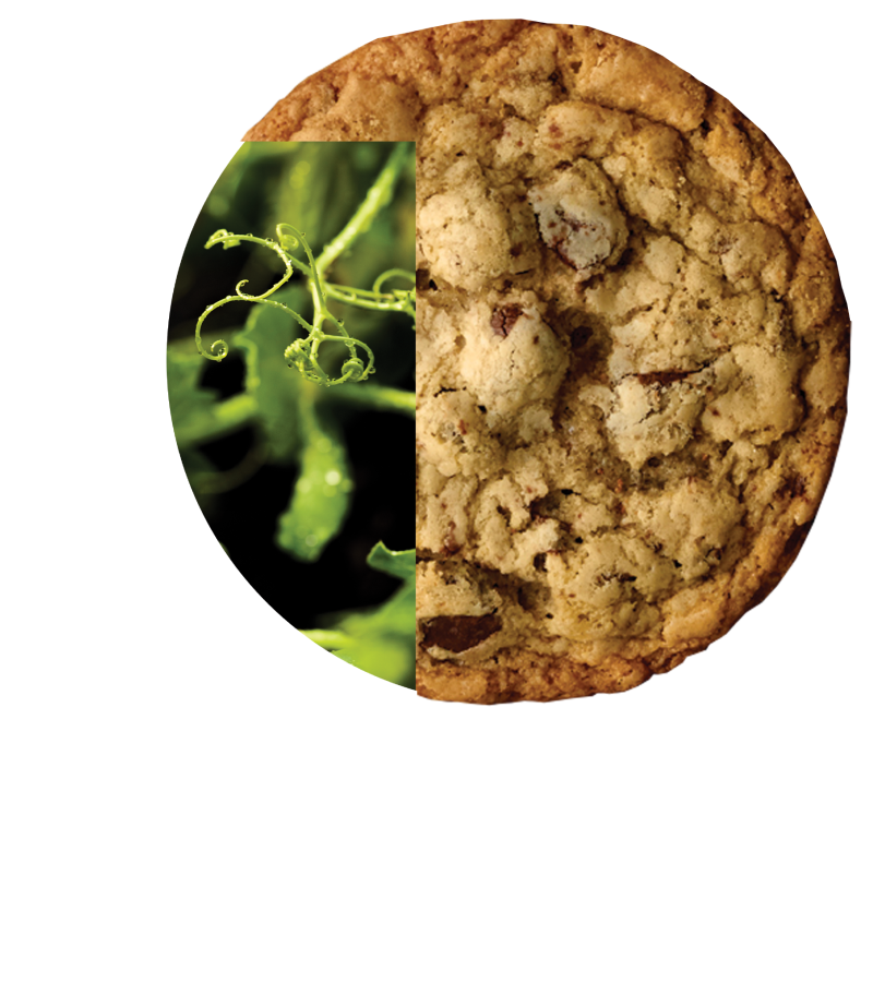 PURIS logo with yellow field pea and chocolate chip cookie.