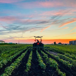 From Soil to Shelf: The Carbon Footprint Journey of Pea Proteins & Starches