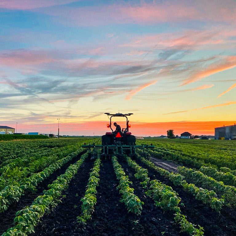 natto-farm-shot